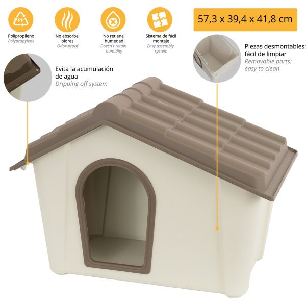 RAZA2019-C RAZA2019 C