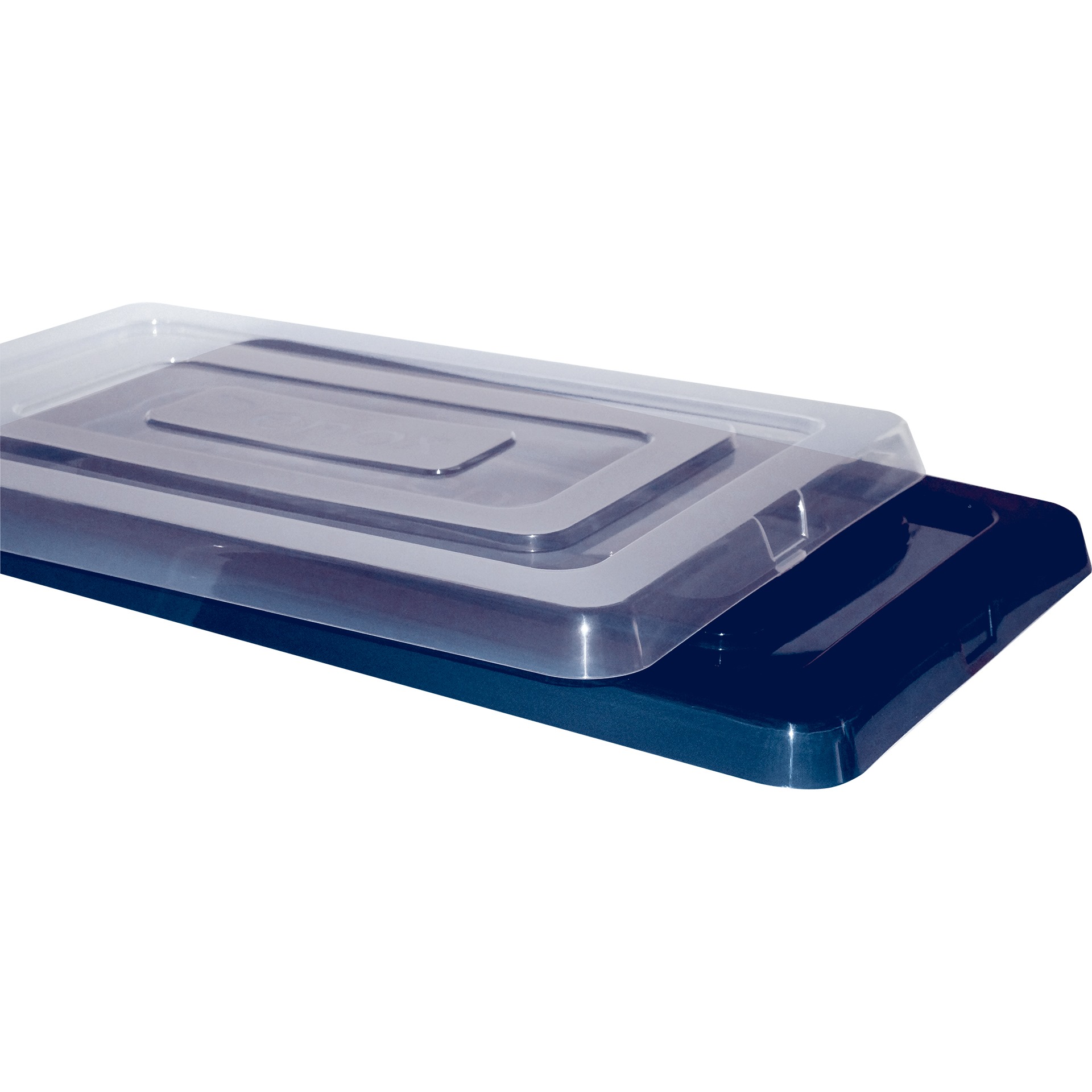 RADEN301-C RADEN301 C