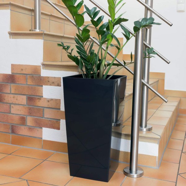 RAZA1195-C RAZA1195 C