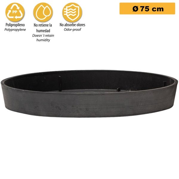 RAZA2456-C RAZA2456 C