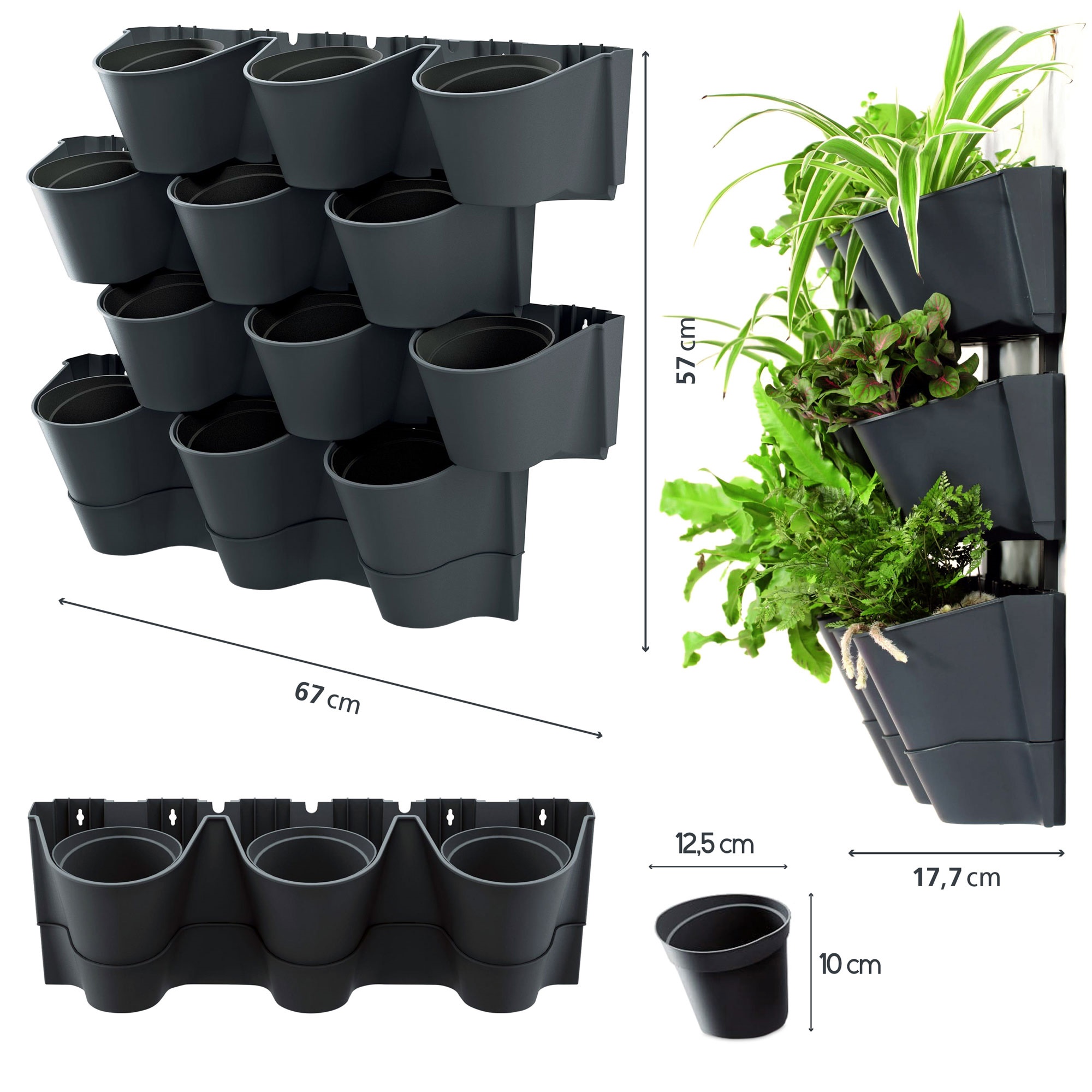 RAZA1388-C RAZA1388 C